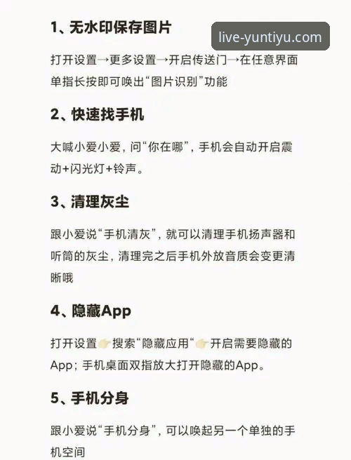 云体育app功能 深度揭秘云体育app功能:新手必知的五大隐藏亮点与真实体验
