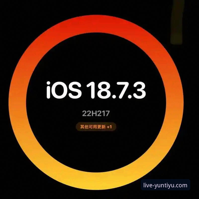 云体育用户评价iOS版到底值不值得下载？一个实战派用户的全方位体验